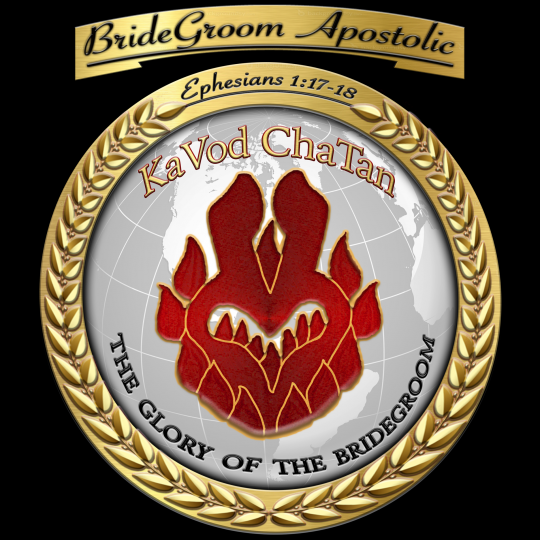 Agency Logo