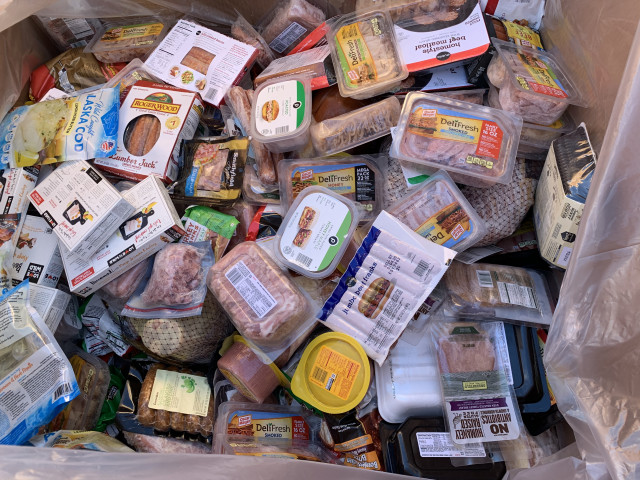 Agency Photo  (147021)