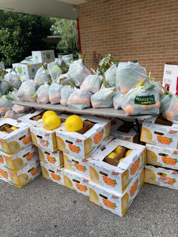 Agency Photo  (188622)