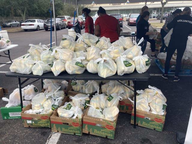 Agency Photo  (188599)