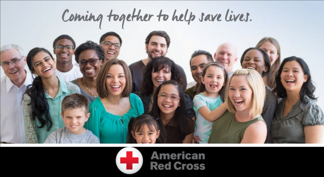 Agency Photo  (177169)