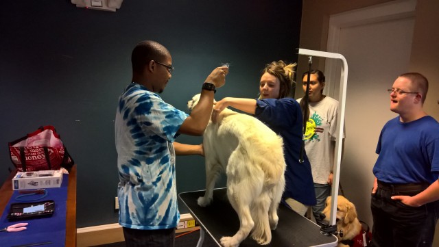 Agency Photo  (108075)