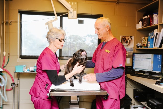 Agency Photo  (109194)