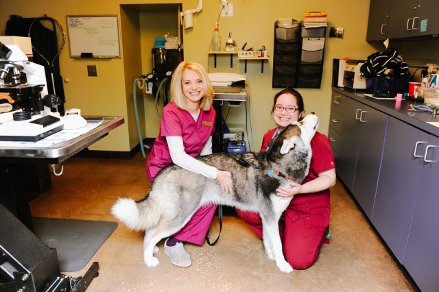 Agency Photo  (109195)