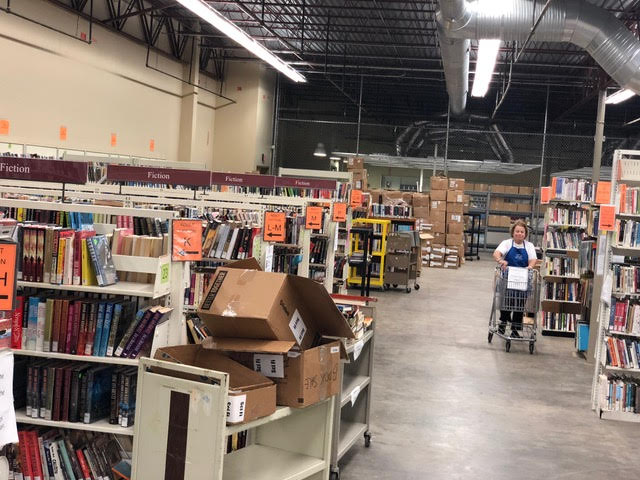 Agency Photo  (117835)