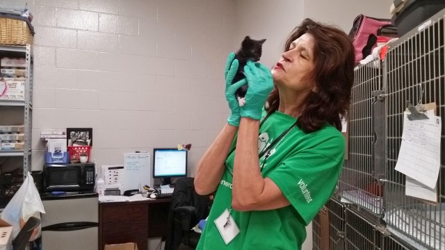 Agency Photo  (112784)