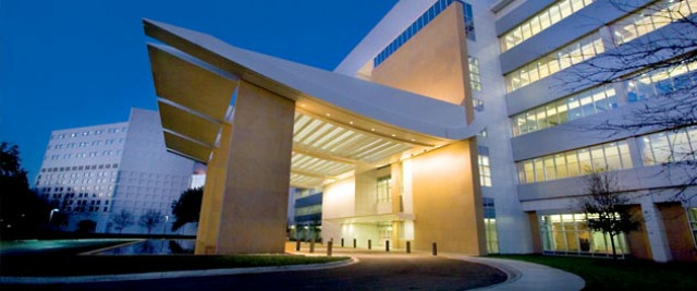 Agency Photo  (119790)