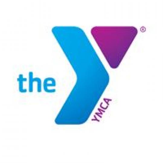 Organization Logo