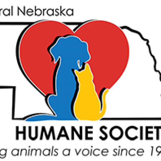 Organization Logo