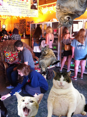 Agency Photo  (169999)