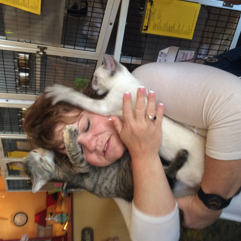 Agency Photo  (169994)