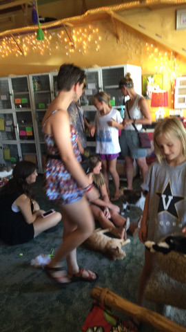 Agency Photo  (169995)