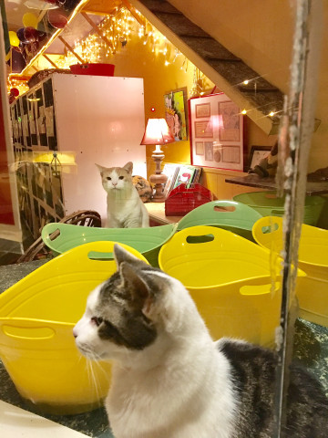 Agency Photo  (169998)