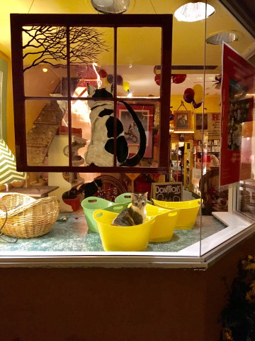 Agency Photo  (170001)