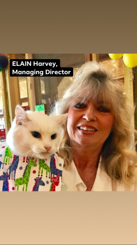 Agency Photo  (170004)