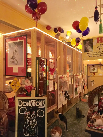 Agency Photo  (170002)