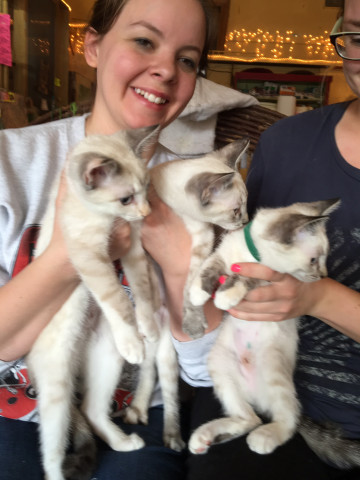 Agency Photo  (169992)