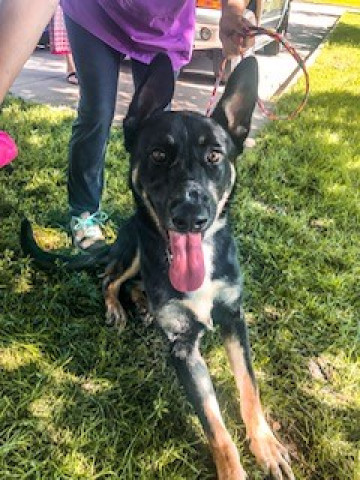 Agency Photo  (140850)