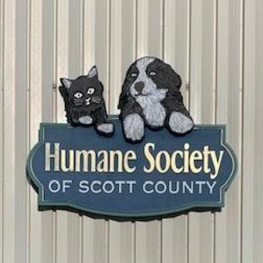 Agency Logo
