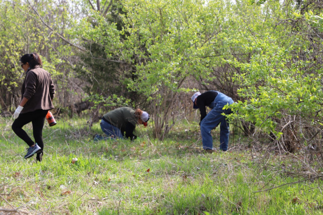 Agency Photo  (172302)