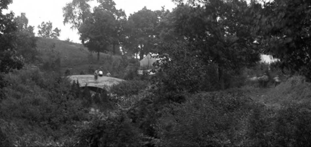 Agency Photo  (195656)