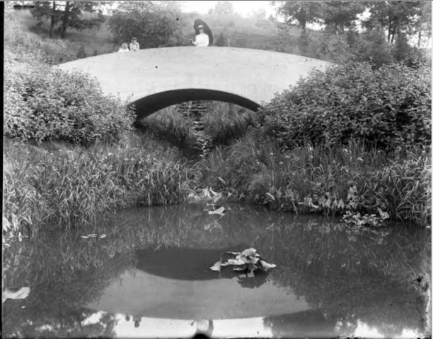 Agency Photo  (195657)