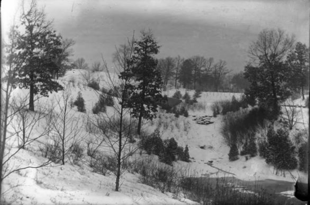 Agency Photo  (195653)