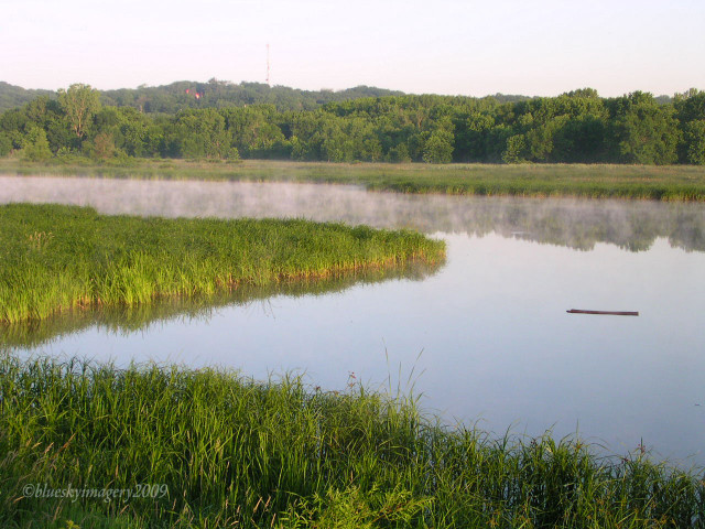 Agency Photo  (124501)