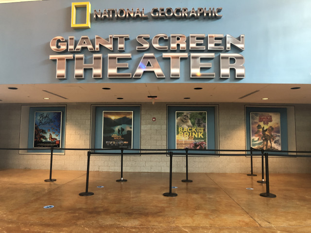 Agency Photo  (177495)