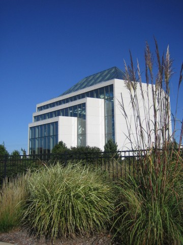 Agency Photo  (100070)