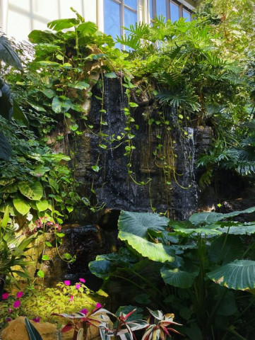 Agency Photo  (170588)