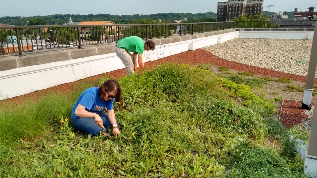 Agency Photo  (100749)