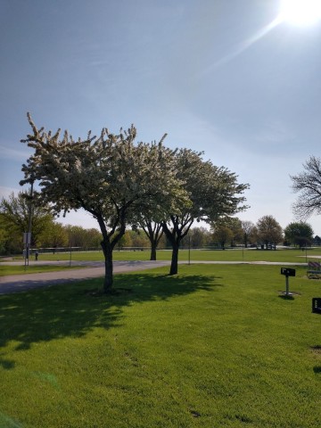 Agency Photo  (195807)