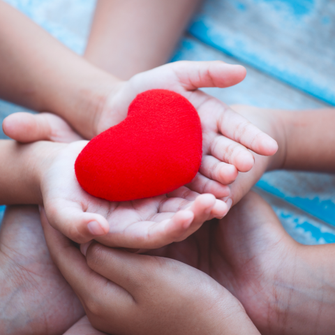 Agency Photo  (206968)