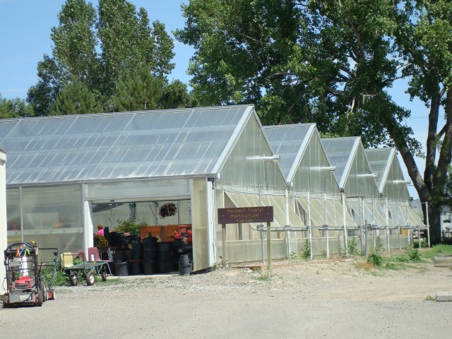 Agency Photo  (97541)