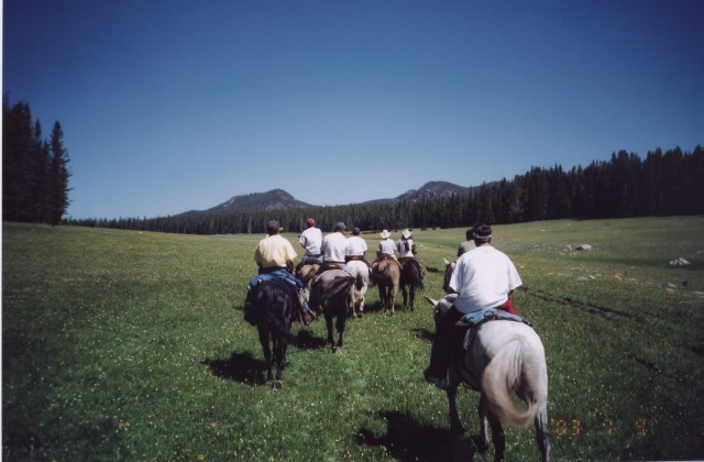 Agency Photo  (97543)