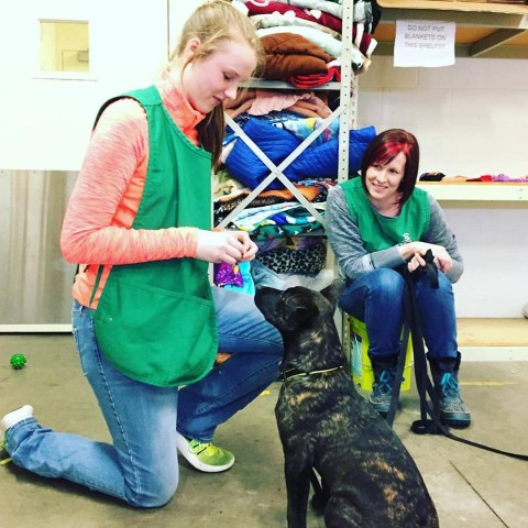 Agency Photo  (97867)