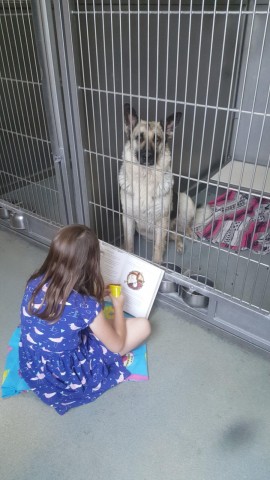 Agency Photo  (97873)