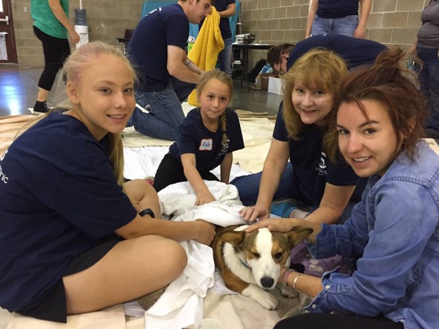 Agency Photo  (97866)