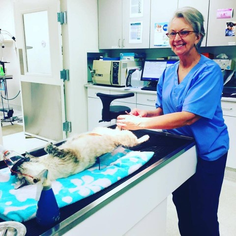 Agency Photo  (97863)