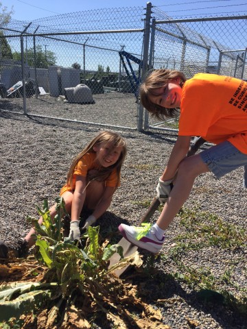 Agency Photo  (97881)