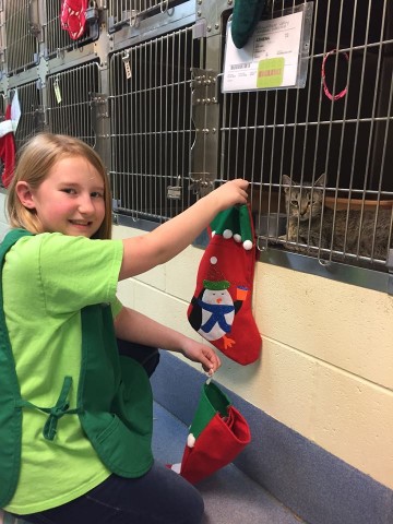 Agency Photo  (97862)