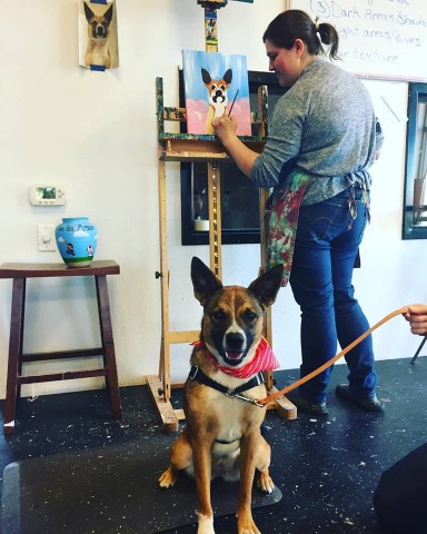 Agency Photo  (97870)