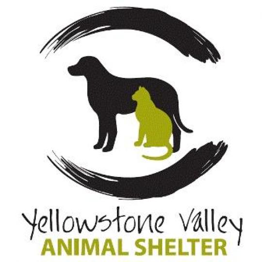 Agency Logo