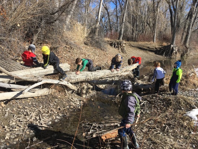 Agency Photo  (98798)