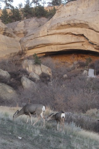 Agency Photo  (105893)