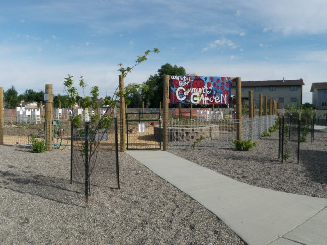 Agency Photo  (107398)