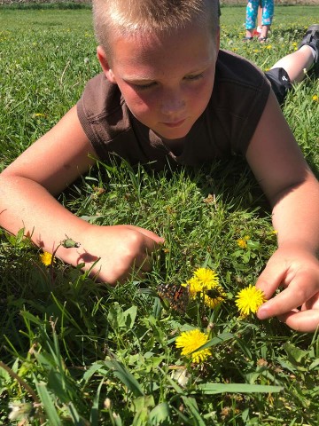 Agency Photo  (112567)