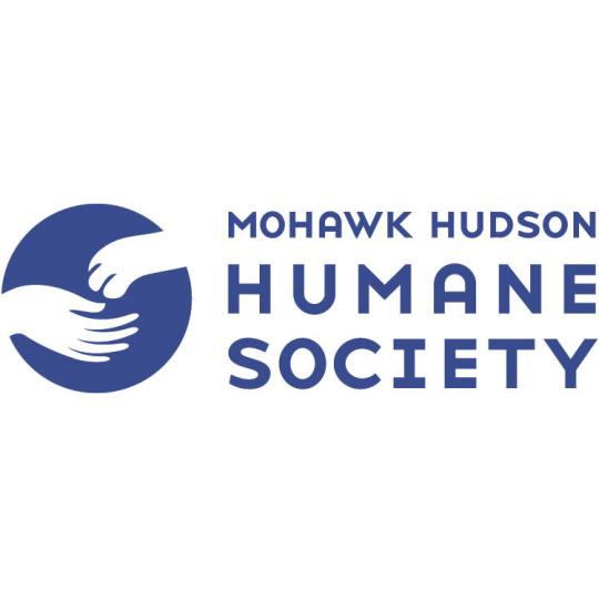 Agency Logo