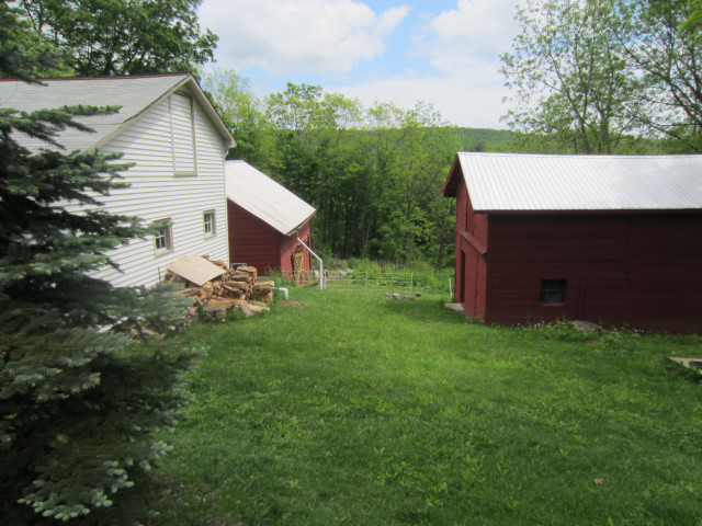 Agency Photo  (151680)